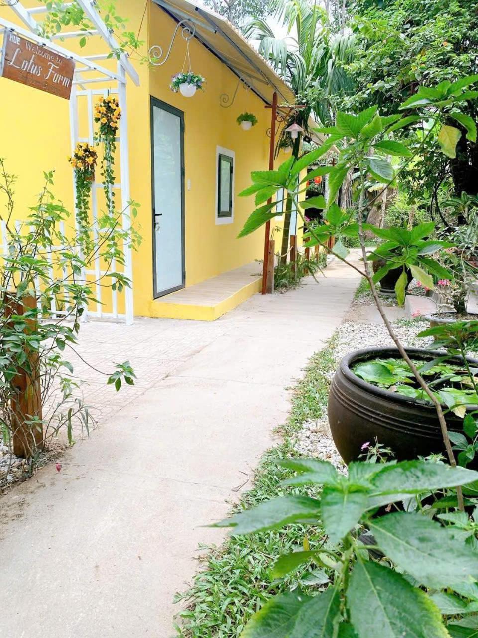 Hue Lotus Homestay Εξωτερικό φωτογραφία